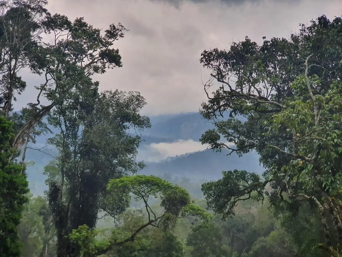 Misty Cardamom Hills Munnar Hotel