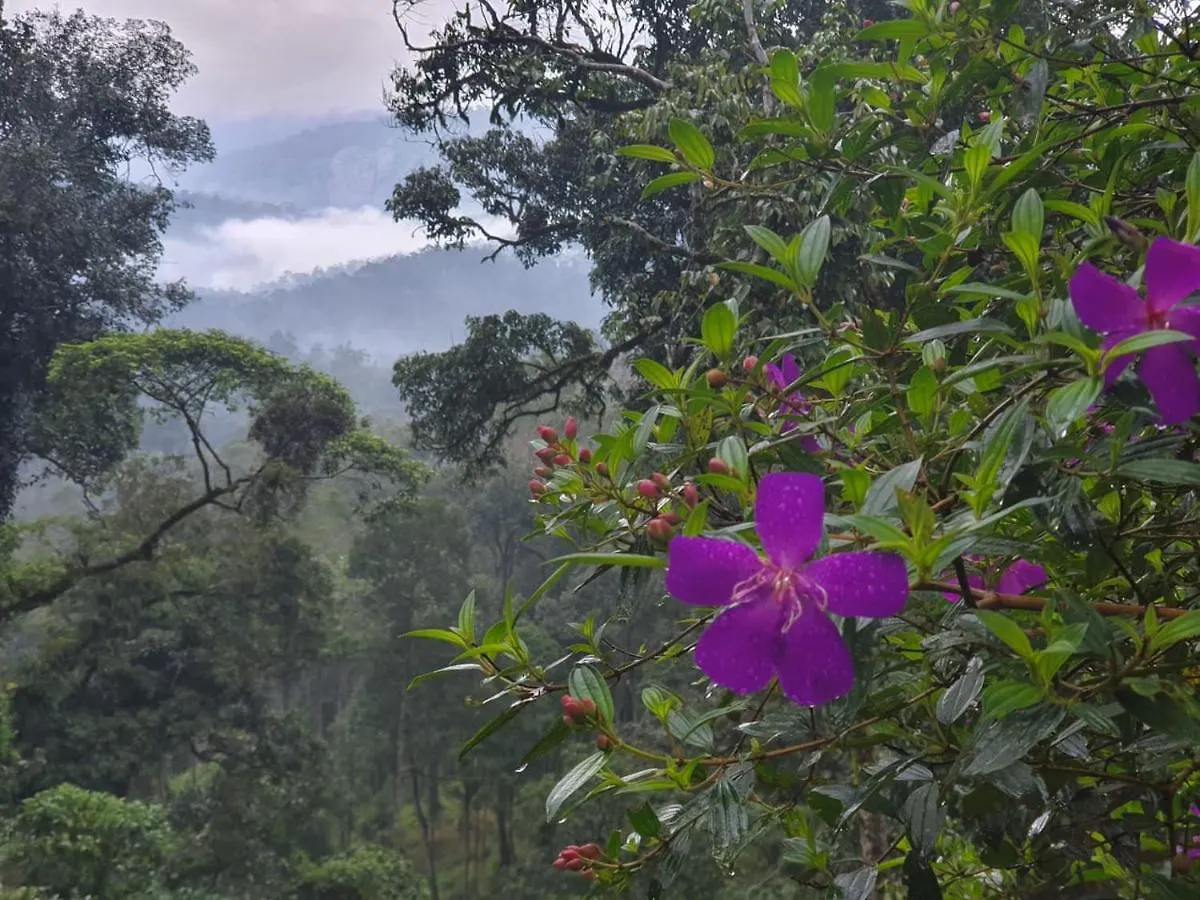 ****  Misty Cardamom Hills Munnar Hotel India