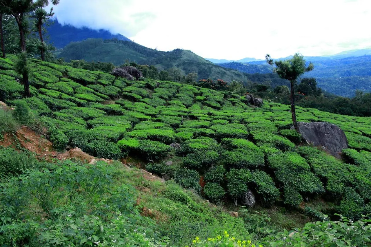 Misty Cardamom Hills Munnar Hotel