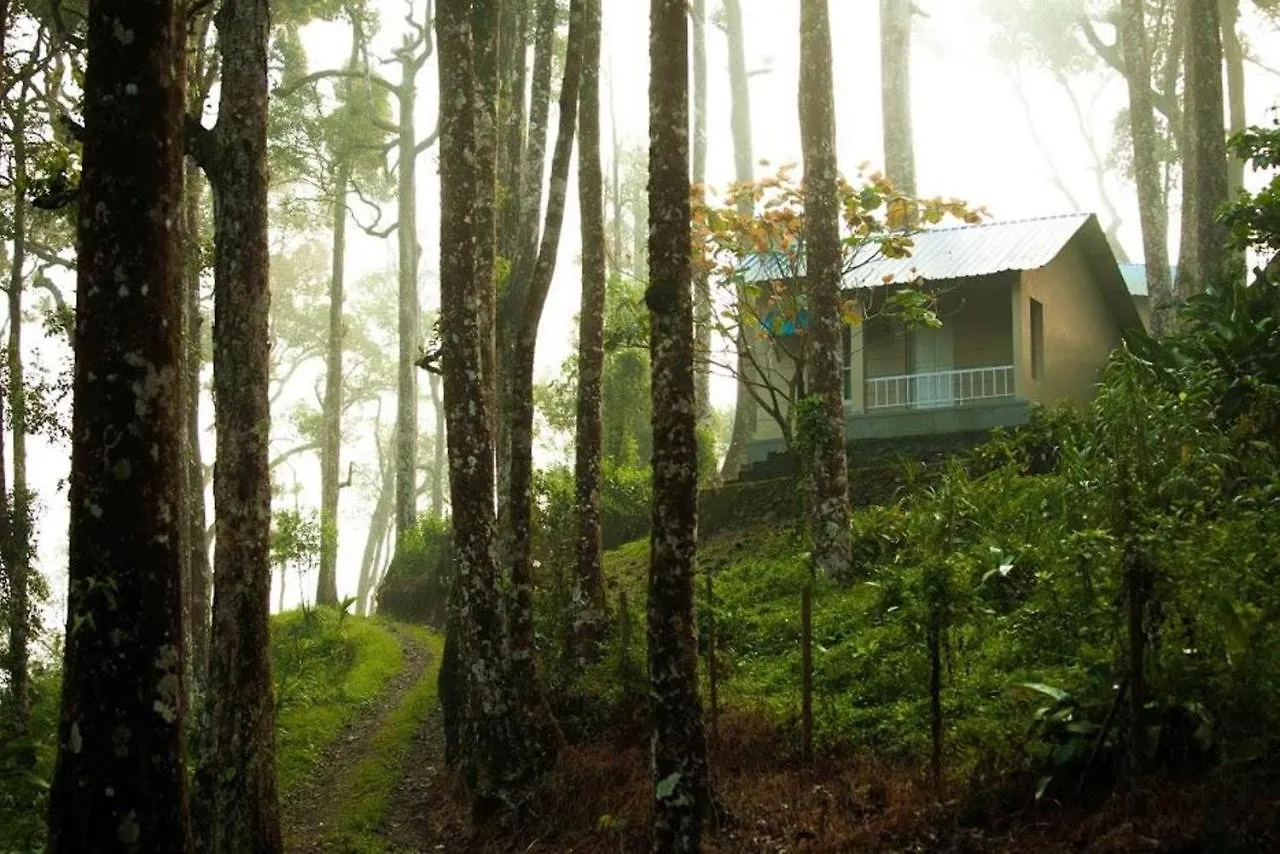 Misty Cardamom Hills Munnar Hotel India